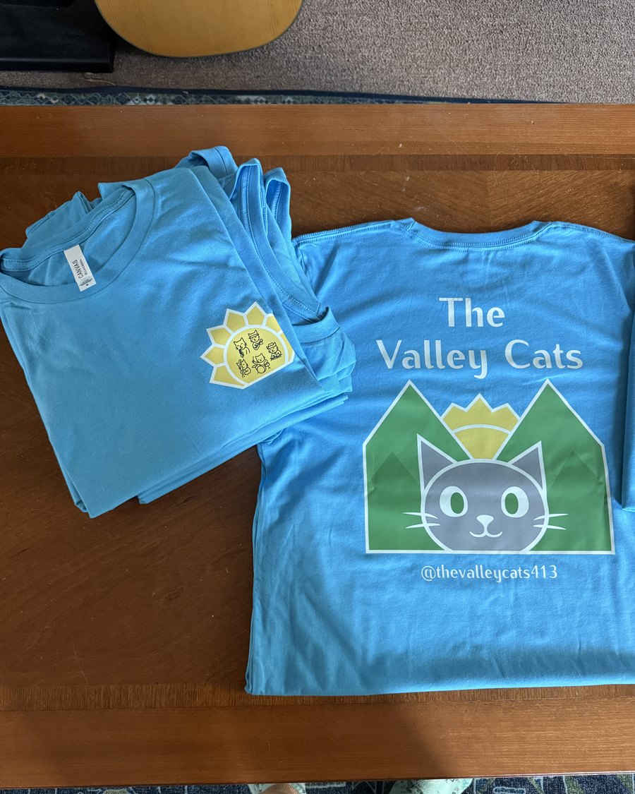 Custom printed shirts by Vertical Black — The Valley Cats, front and back